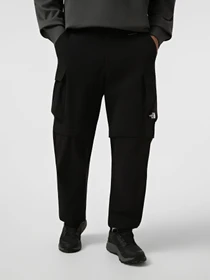 Брюки The North Face M TRAVEL KOSH PANTS модель NF0A8HFKJK31 Фото