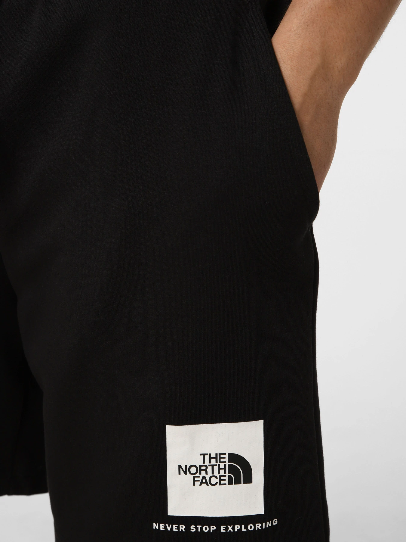 Шорты The North Face M BOX NSE LIGHT REGULAR SHORTS модель NF0A8GQ8JK31 Фото