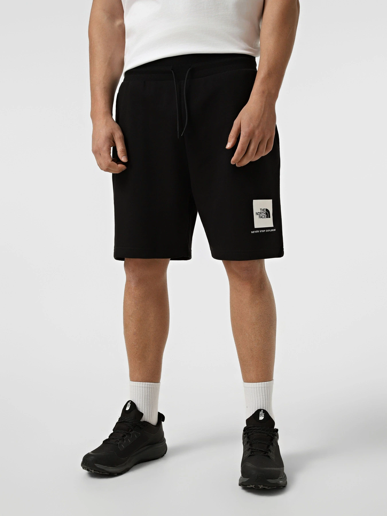Шорты The North Face M BOX NSE LIGHT REGULAR SHORTS модель NF0A8GQ8JK31 Фото