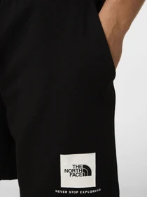 Шорты The North Face M BOX NSE LIGHT REGULAR SHORTS модель NF0A8GQ8JK31 Фото