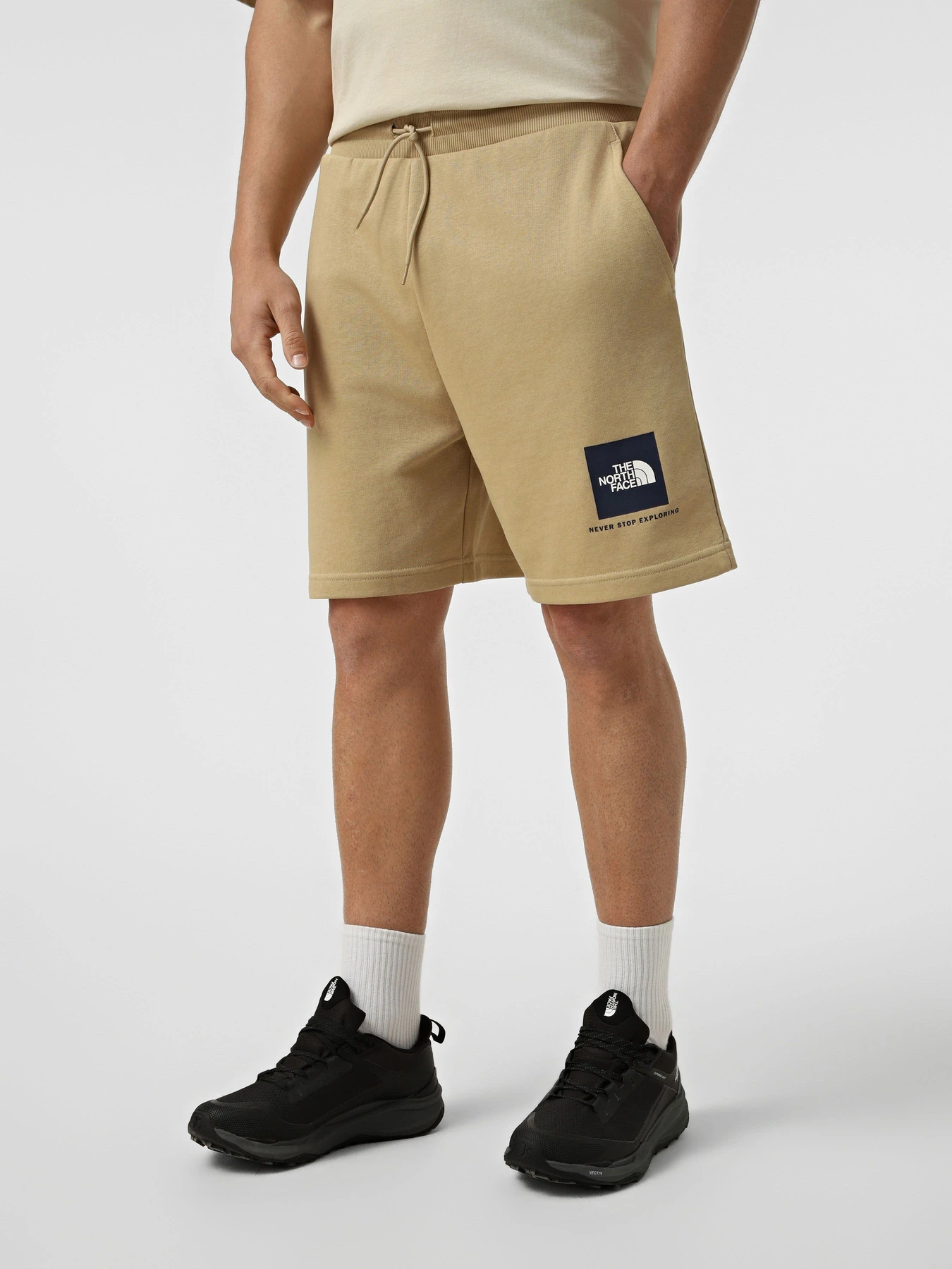 Шорты The North Face M BOX NSE LIGHT REGULAR SHORTS модель NF0A8GQ8LK51 Фото