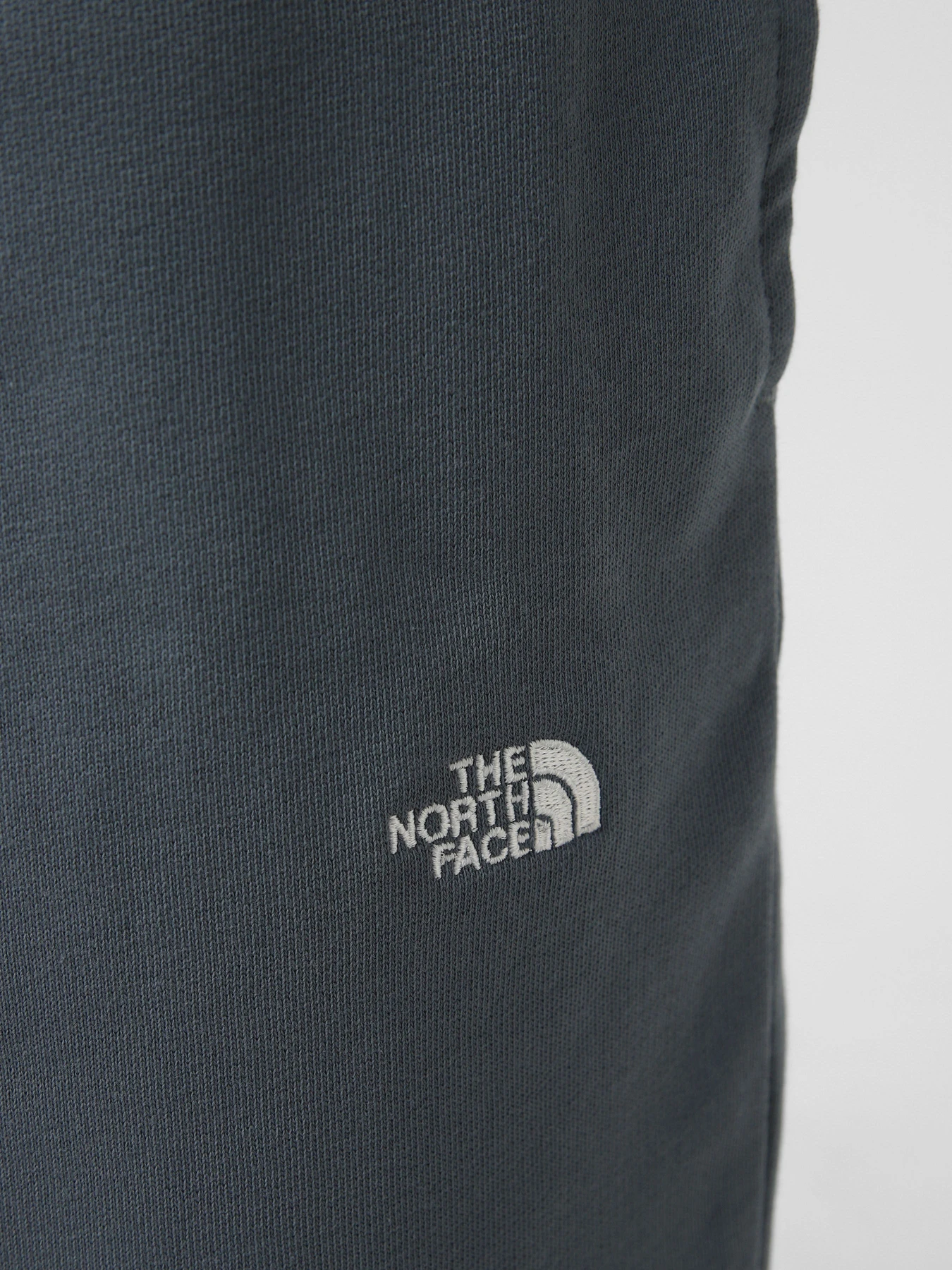 Шорты The North Face M ESSENTIAL LIGHT RELAXED SHOR модель NF0A8GQ90U31 Фото