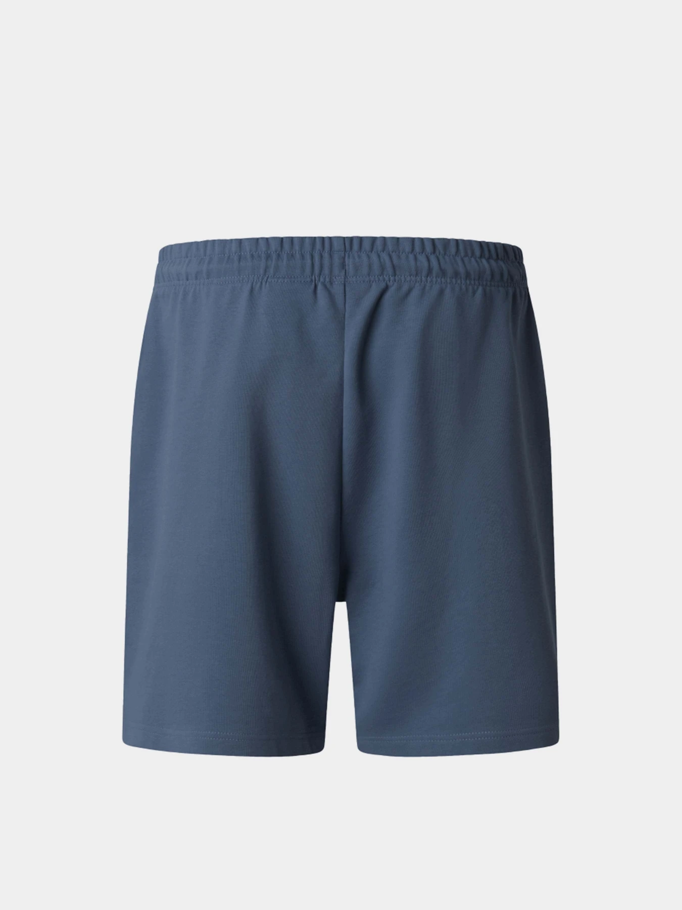 Шорты The North Face M ESSENTIAL LIGHT RELAXED SHOR модель NF0A8GQ90U31 Фото
