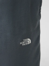 Шорты The North Face M ESSENTIAL LIGHT RELAXED SHOR модель NF0A8GQ90U31 Фото
