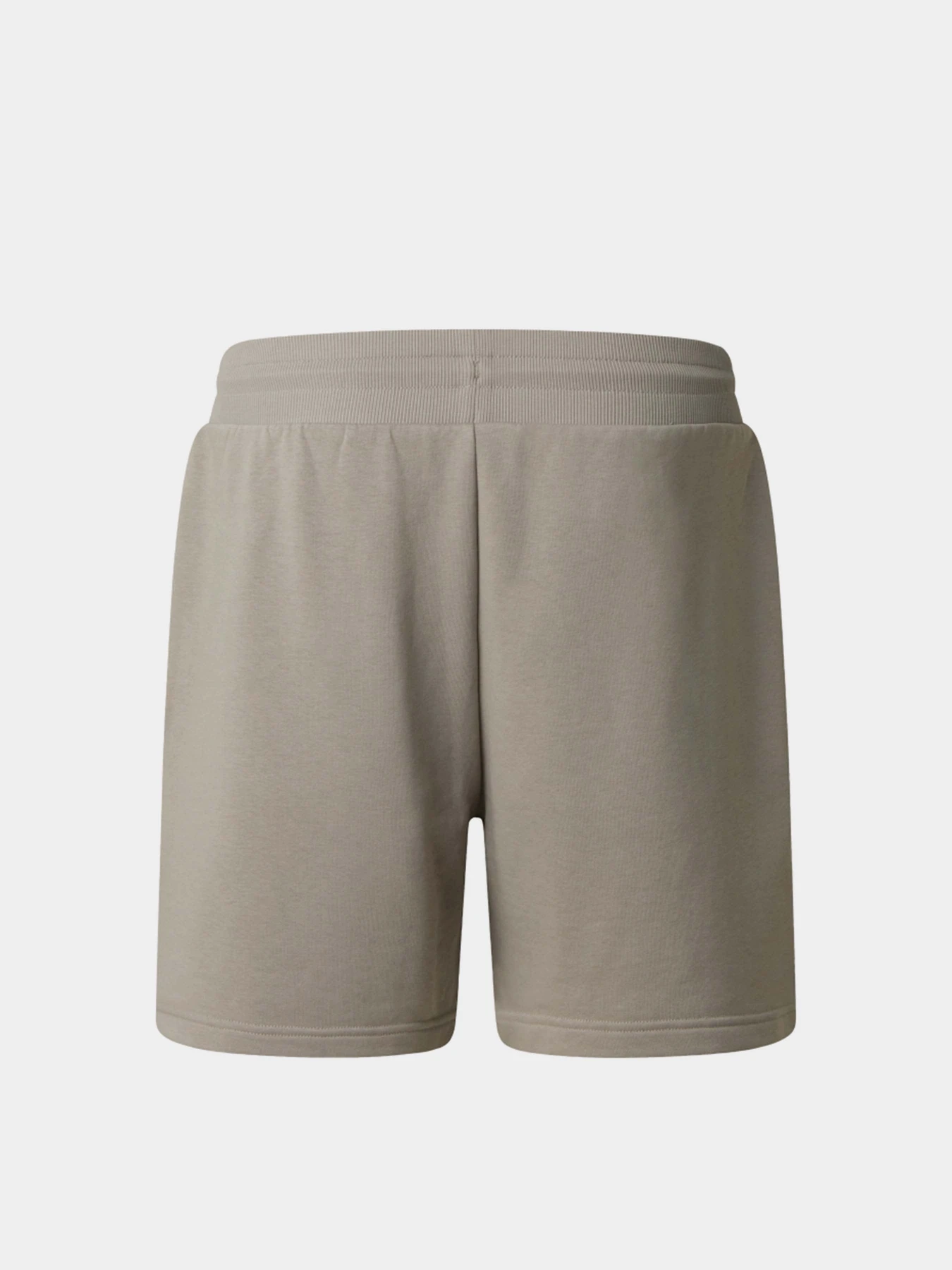 Шорты The North Face M SIMPLE DOME LIGHT REGULAR SH модель NF0A8GQB2MB1 Шорты The North Face M SIMPLE DOME LIGHT REGULAR SH модель NF0A8GQB2MB1 Фото