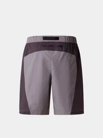 Шорты The North Face U NSE BELTED SHORT модель NF0A8GE5JZU1 Фото