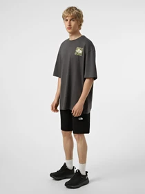 Шорти The North Face M LIGHTNING SHORT - EU модель NF0A495O4H01 Фото
