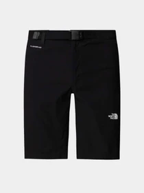 Шорти The North Face M LIGHTNING SHORT - EU модель NF0A495O4H01 Фото
