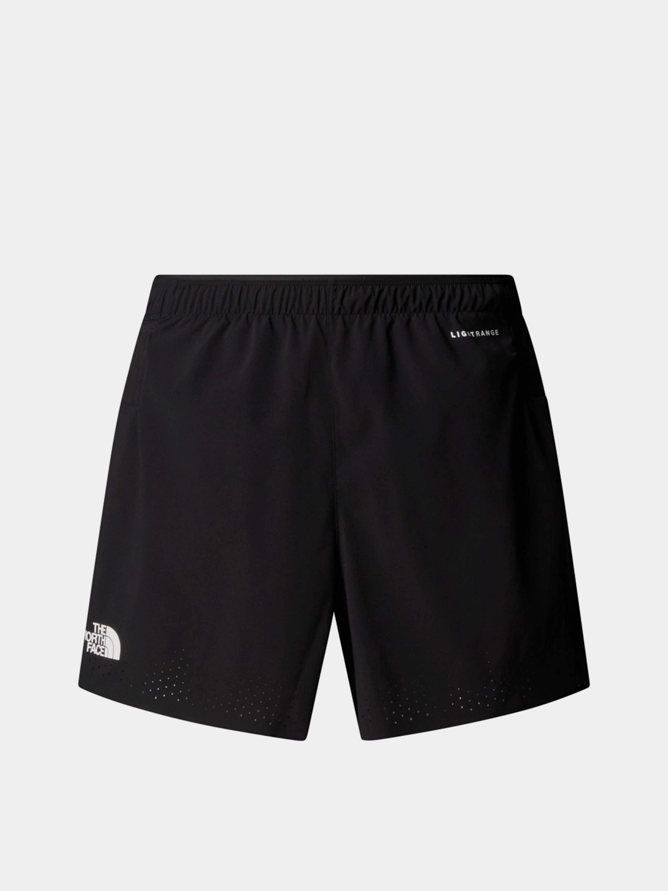 Шорты The North Face M SUMMIT PACESETTER 5IN SHORT модель NF0A8BB4JK31 Фото