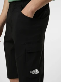 Шорты The North Face M EXPLORATION CARGO SHORTS модель NF0A8EC7JK31 Фото
