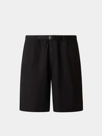 Шорты The North Face M BAGGY BETA SHORTS модель NF0A8G0AJK31 Фото