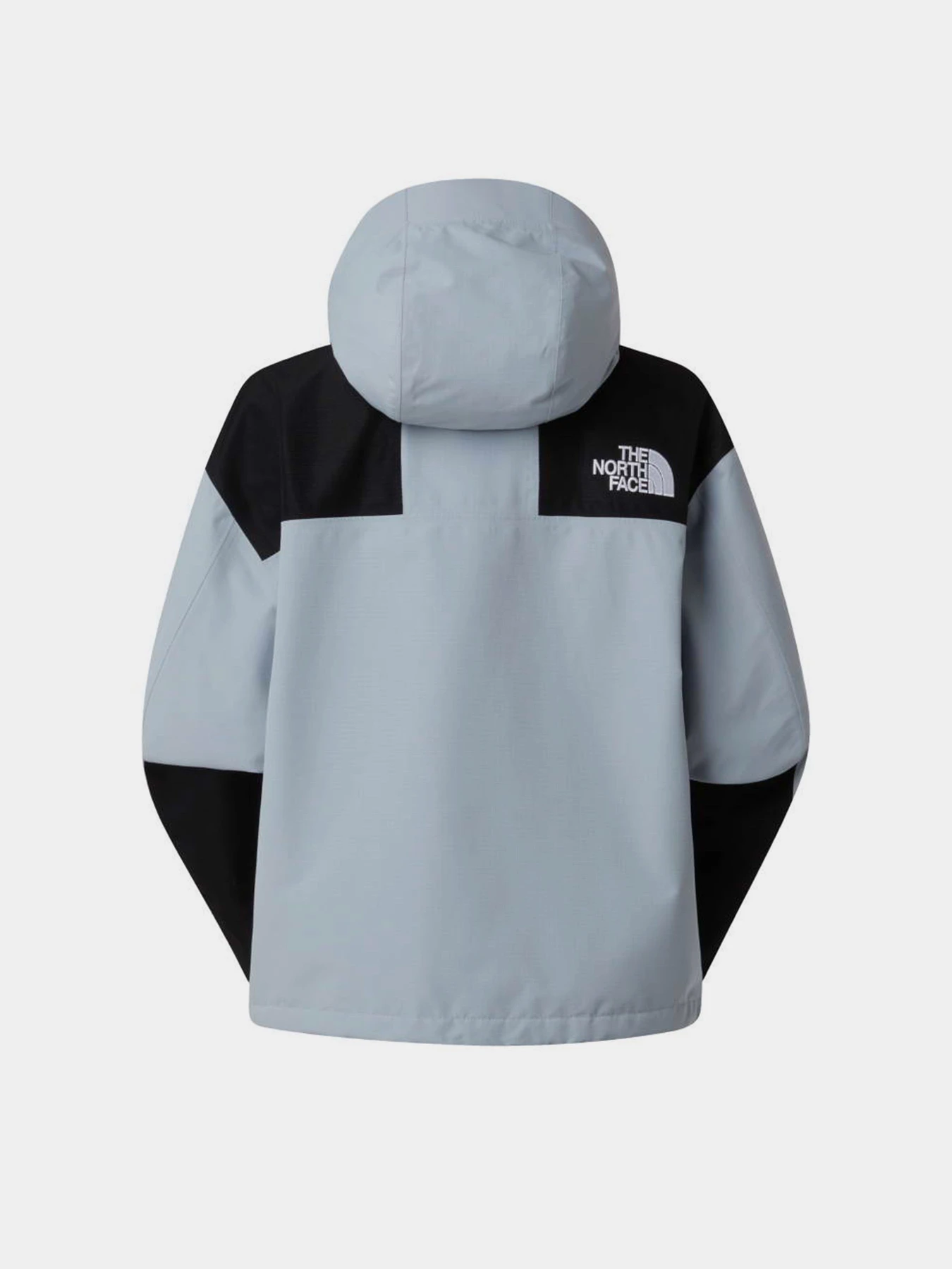 Куртки и дубленки The North Face W DRYVENT MONO MOUNTAIN JACKET модель NF0A88YXGG91 Фото