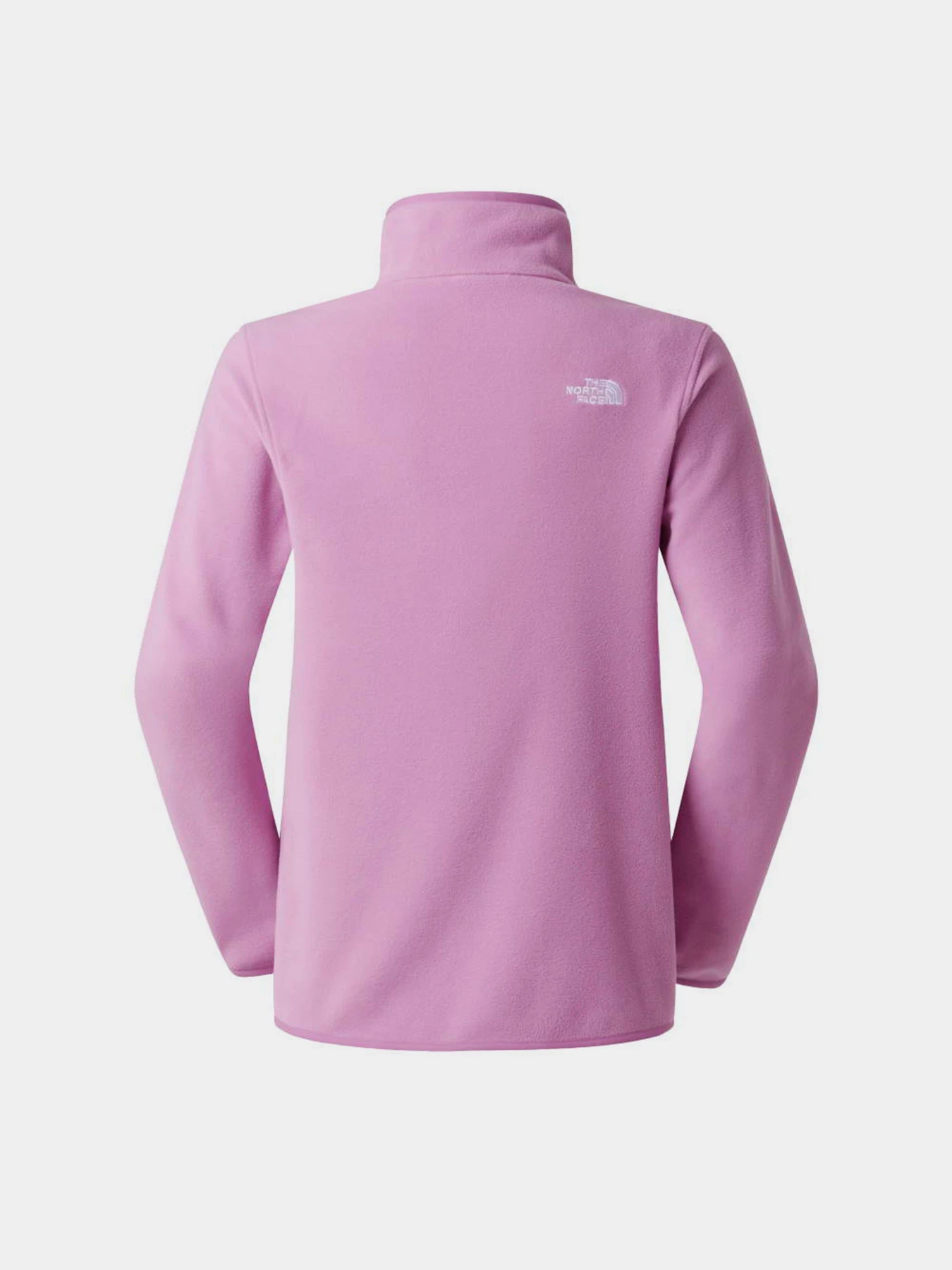 Худі та світшоти The North Face W GLACIER FLEECE 1/4 ZIP JACKE модель NF0A8D2JG6E1 Фото