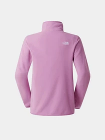 Худі та світшоти The North Face W GLACIER FLEECE 1/4 ZIP JACKE модель NF0A8D2JG6E1 Фото