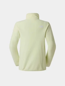 Худи и свитшоты The North Face W GLACIER FLEECE 1/4 ZIP JACKE модель NF0A8D2JG6O1 Фото