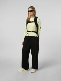 Худи и свитшоты The North Face W SUNRISER HOODIE модель NF0A8BN9G6O1 Фото