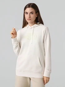 Худи и свитшоты The North Face W DREW PEAK LIGHT REGULAR HOOD модель NF0A8C1DL7N1 Фото
