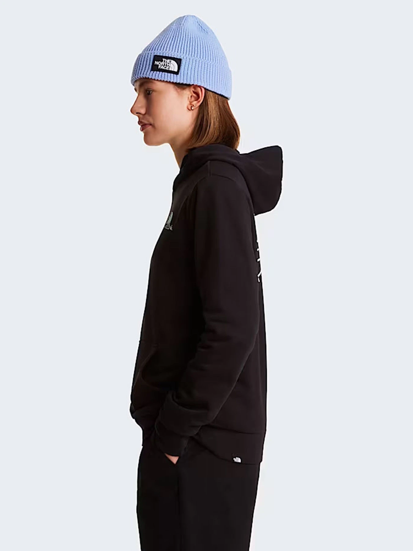 Худи и свитшоты The North Face W MONTE REGULAR HOODIE-GRAPHIC модель NF0A8GAAJK31 Худи и свитшоты The North Face W MONTE REGULAR HOODIE-GRAPHIC модель NF0A8GAAJK31 Фото