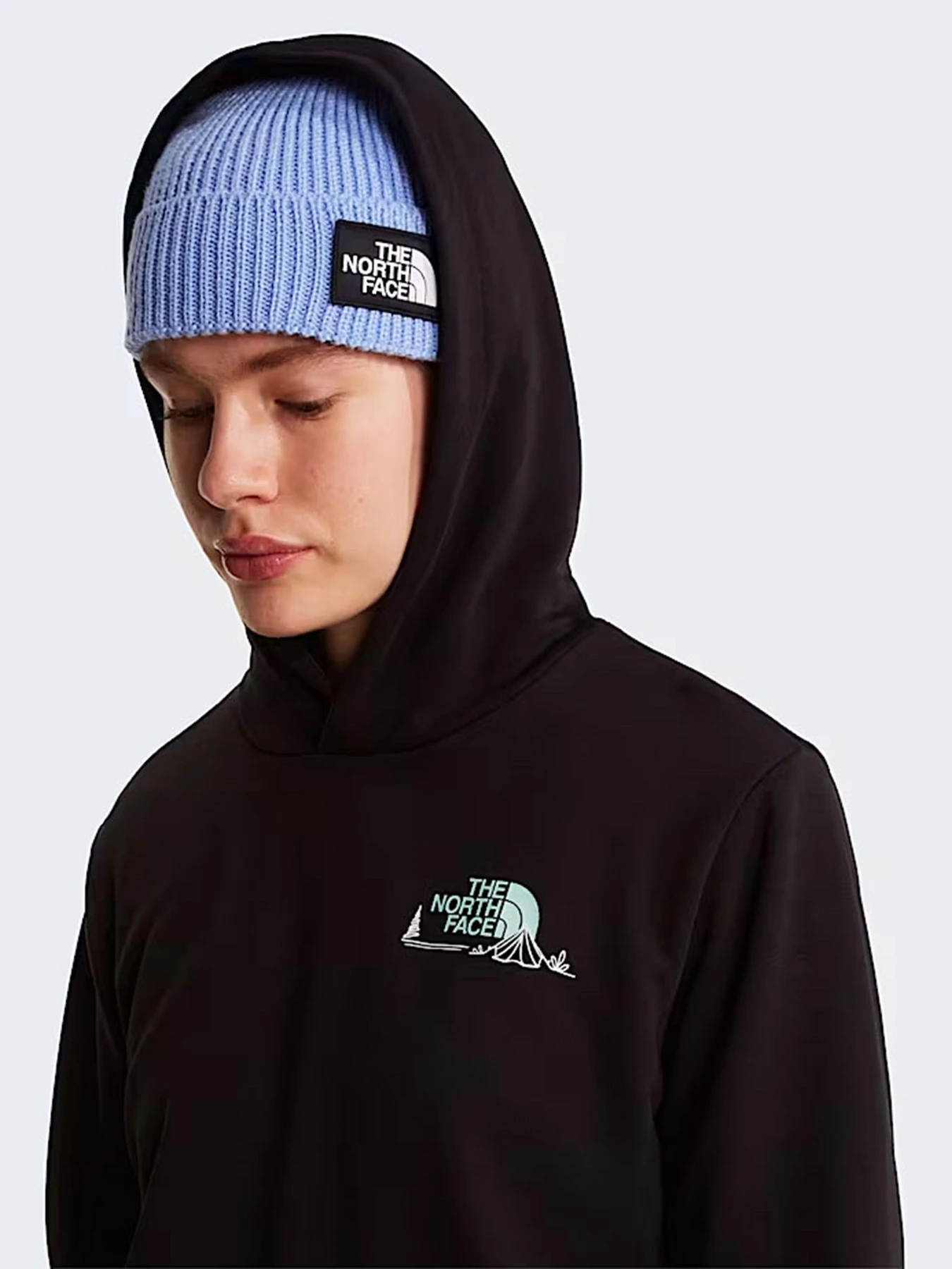 Худи и свитшоты The North Face W MONTE REGULAR HOODIE-GRAPHIC модель NF0A8GAAJK31 Худи и свитшоты The North Face W MONTE REGULAR HOODIE-GRAPHIC модель NF0A8GAAJK31 Фото
