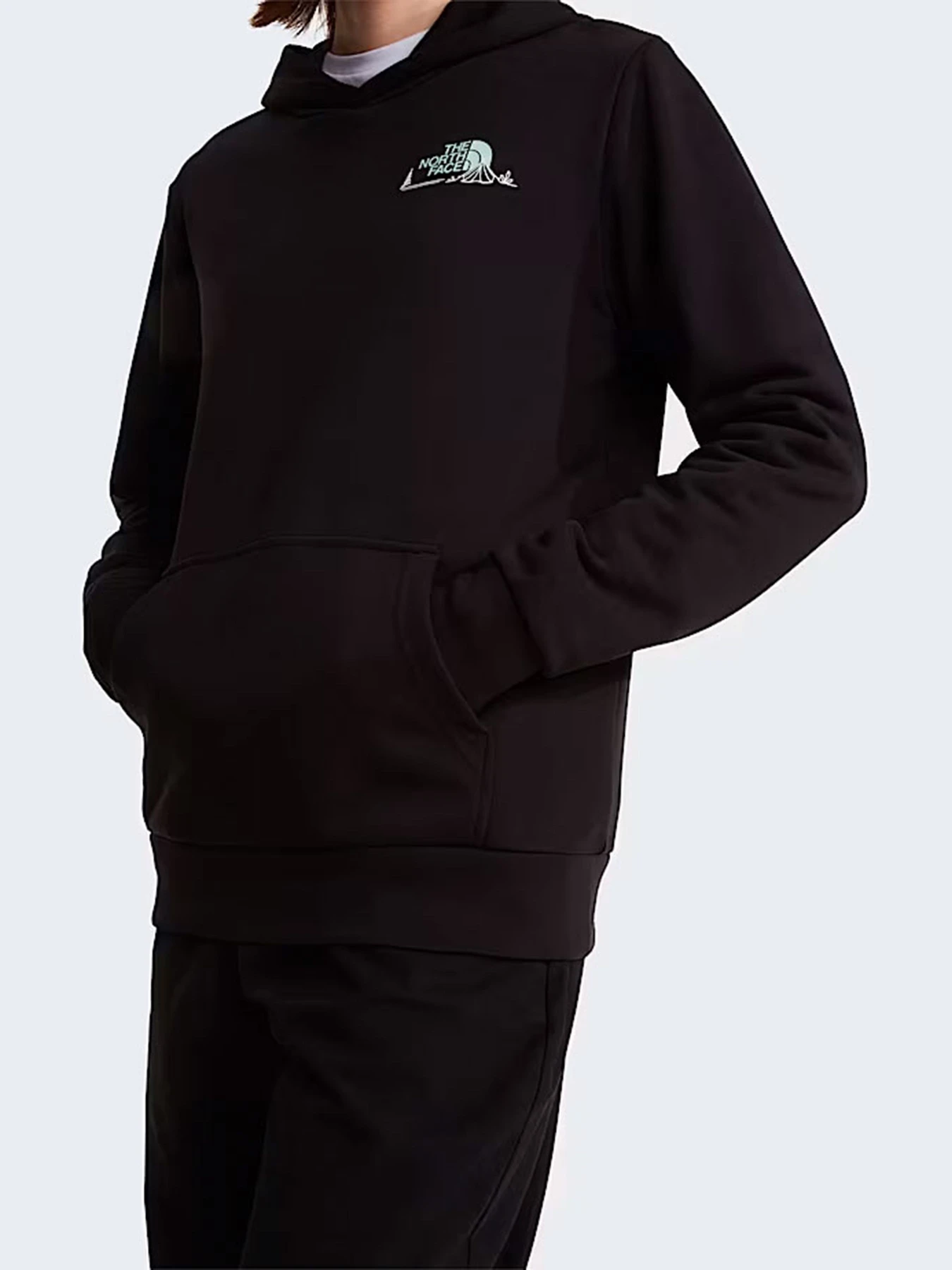 Худи и свитшоты The North Face W MONTE REGULAR HOODIE-GRAPHIC модель NF0A8GAAJK31 Худи и свитшоты The North Face W MONTE REGULAR HOODIE-GRAPHIC модель NF0A8GAAJK31 Фото