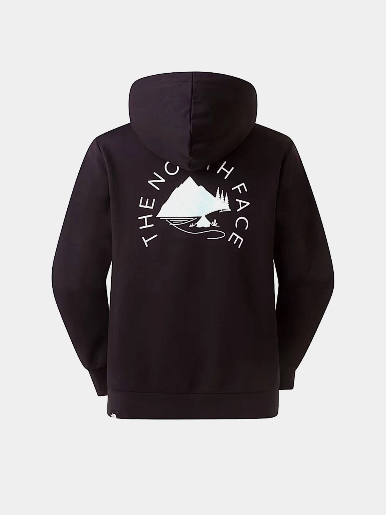 Худи и свитшоты The North Face W MONTE REGULAR HOODIE-GRAPHIC модель NF0A8GAAJK31 Худи и свитшоты The North Face W MONTE REGULAR HOODIE-GRAPHIC модель NF0A8GAAJK31 Фото