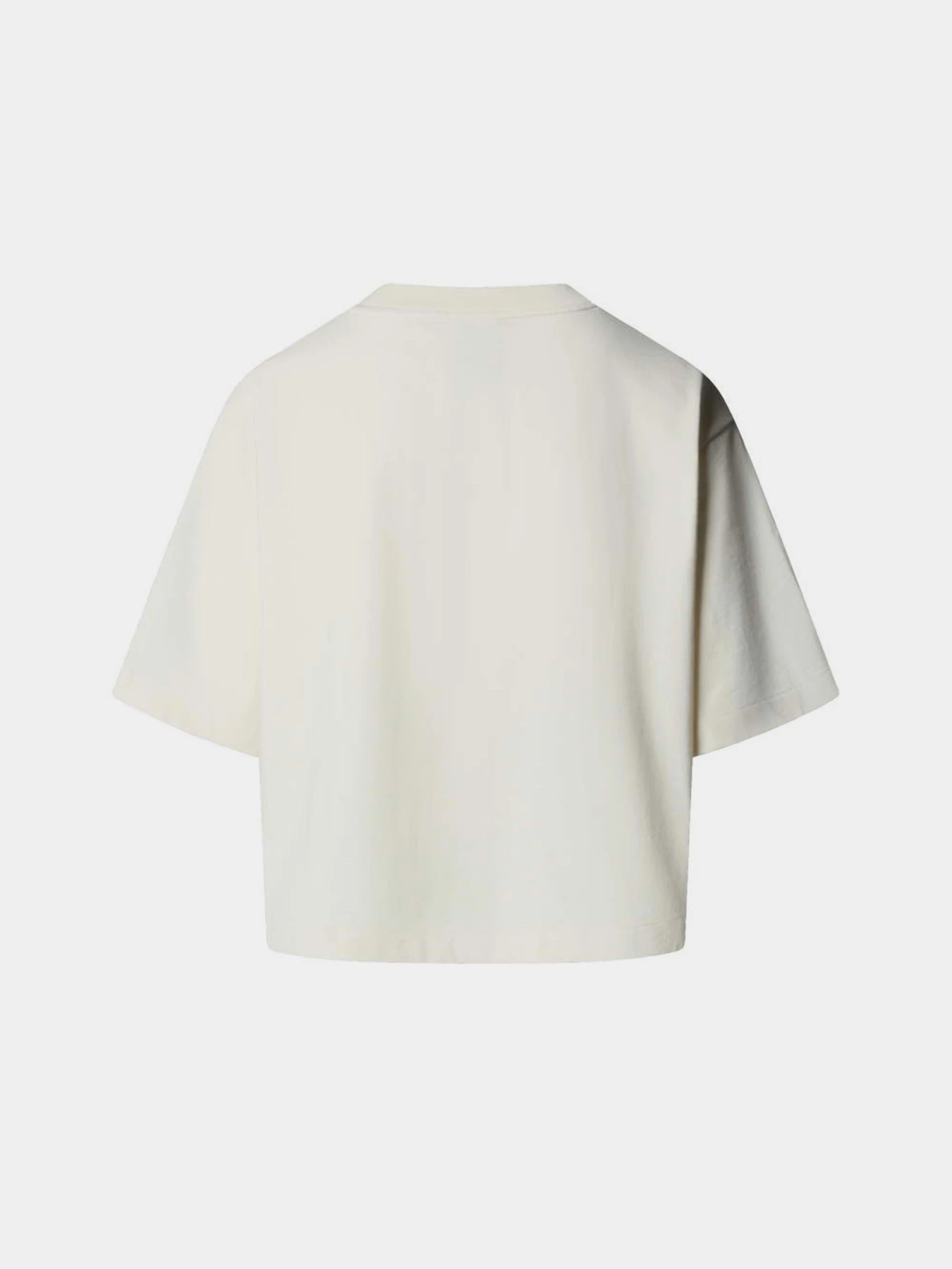 Футболки і поло The North Face W TNF RED BOX S/S BOXY TEE модель NF0A8EG6QLI1 Футболки і поло The North Face W TNF RED BOX S/S BOXY TEE модель NF0A8EG6QLI1 Фото