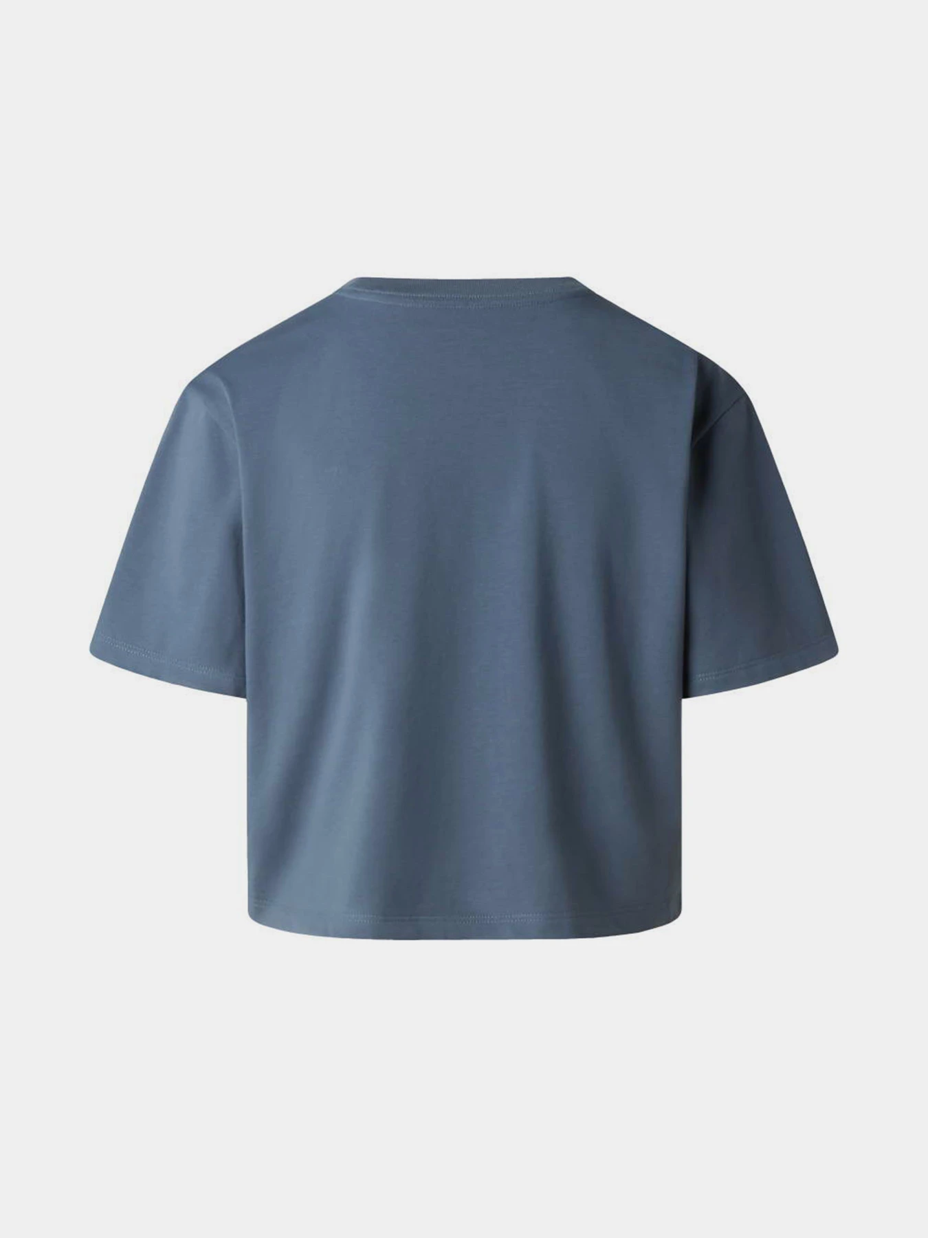 Футболки и поло The North Face W EVOLUTION SIMPLE DOME CROP R модель NF0A8FDH0U31 Футболки и поло The North Face W EVOLUTION SIMPLE DOME CROP R модель NF0A8FDH0U31 Фото