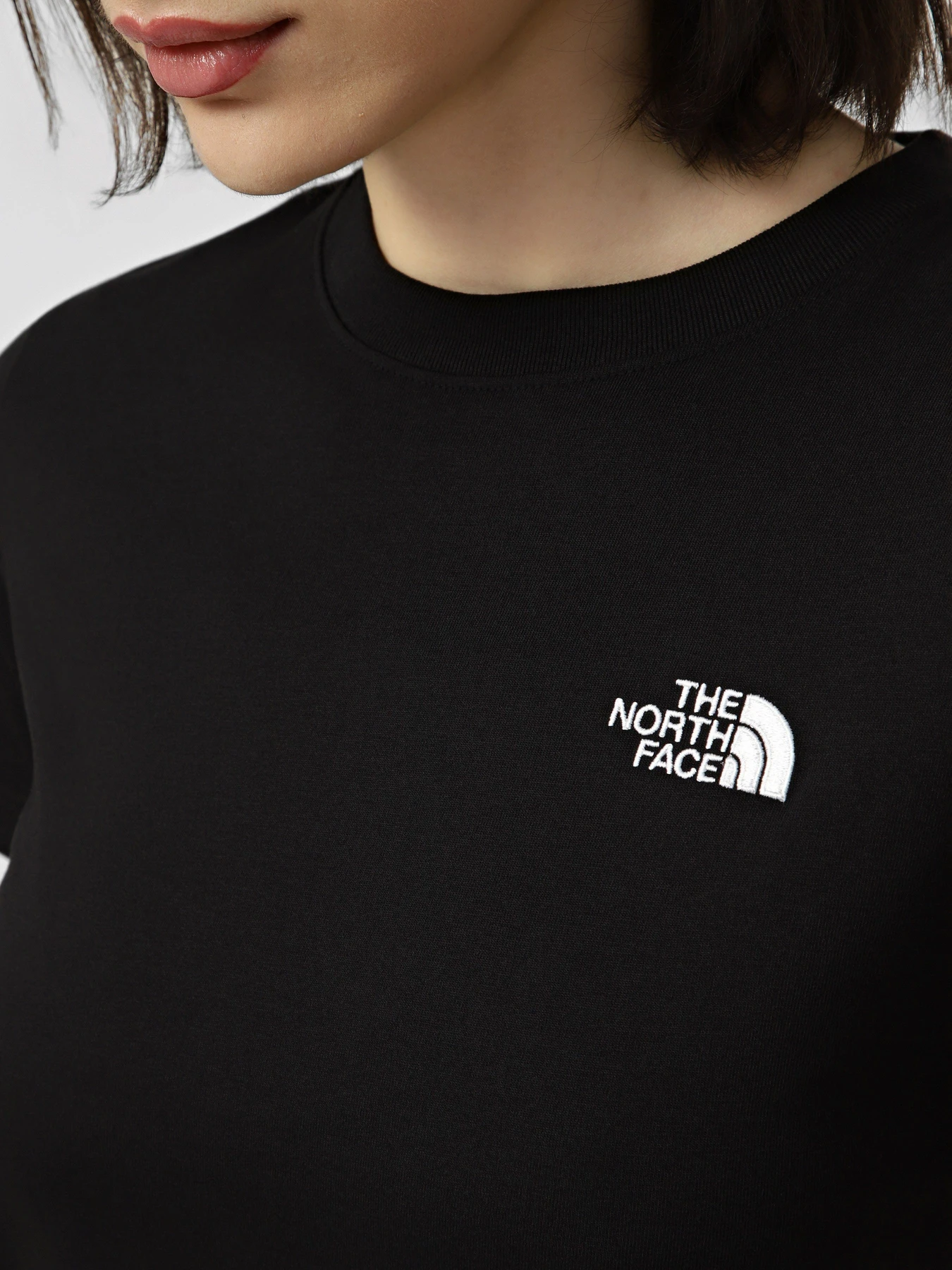 Футболки і поло The North Face W EVOLUTION SIMPLE DOME SLM SH модель NF0A8FX7JK31 Футболки і поло The North Face W EVOLUTION SIMPLE DOME SLM SH модель NF0A8FX7JK31 Фото
