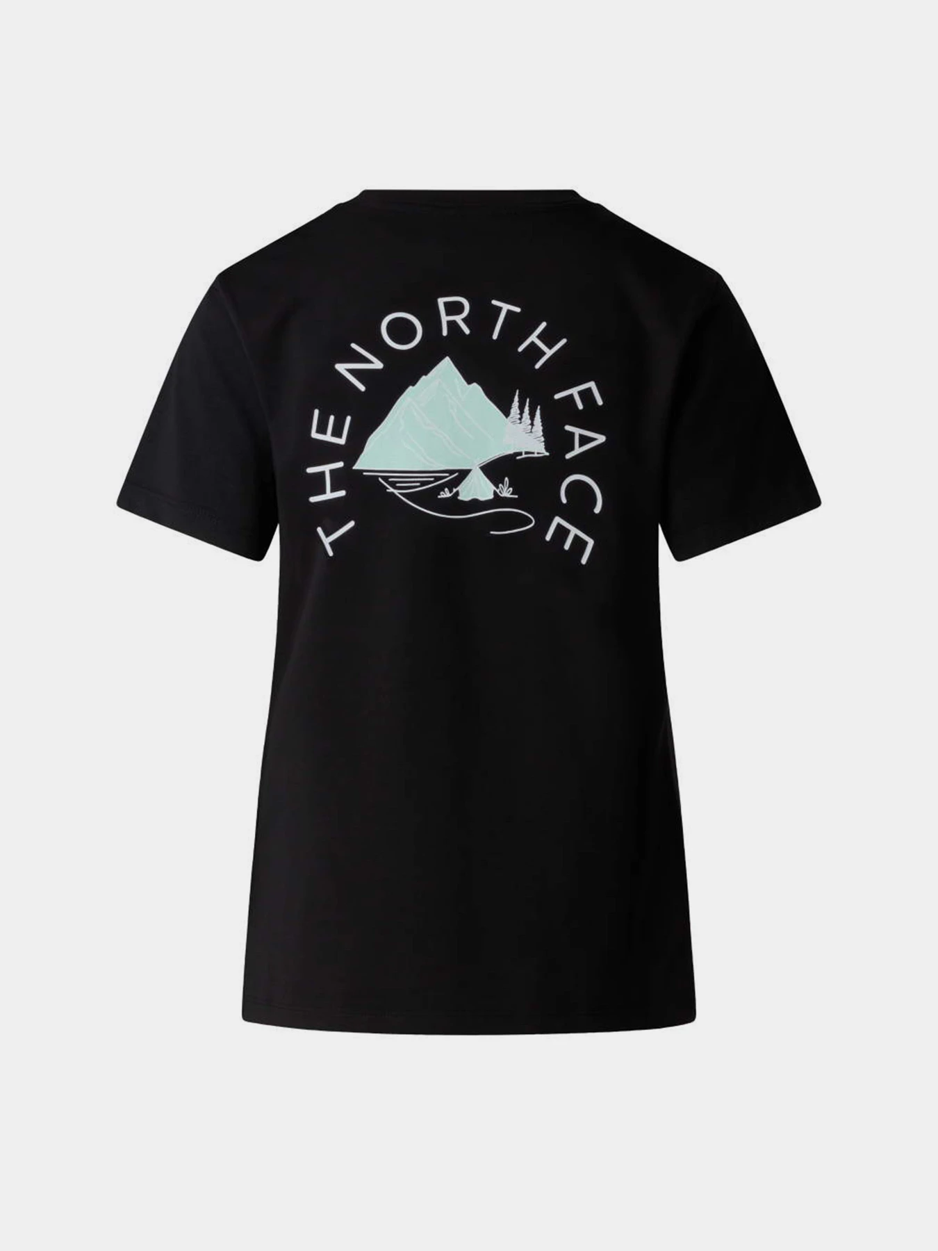 Футболки и поло The North Face W MONTE REGULAR SHORT SLEEVE T модель NF0A8GA9JK31 Фото