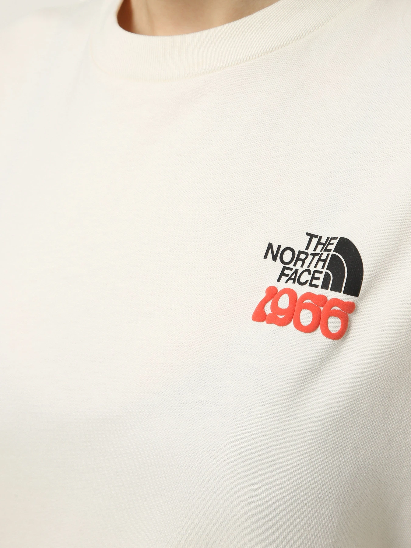 Футболки і поло The North Face M 1966 MOTION RELAXED SHORT SL модель NF0A8GAHQLI1 Футболки і поло The North Face M 1966 MOTION RELAXED SHORT SL модель NF0A8GAHQLI1 Фото