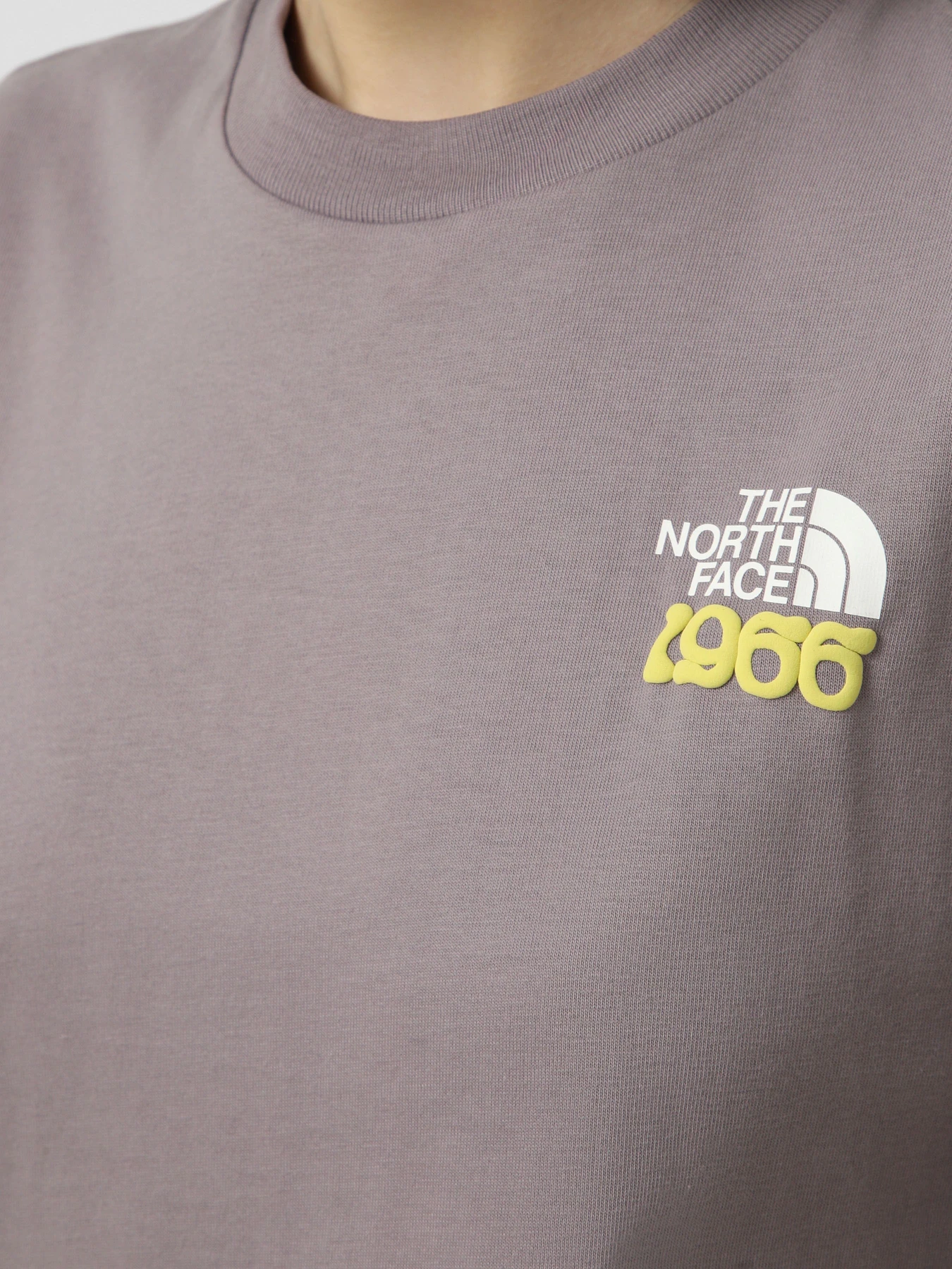 Футболки і поло The North Face M 1966 MOTION RELAXED SHORT SL модель NF0A8GAHG7O1 Футболки і поло The North Face M 1966 MOTION RELAXED SHORT SL модель NF0A8GAHG7O1 Фото