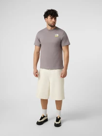Футболки і поло The North Face M 1966 MOTION RELAXED SHORT SL модель NF0A8GAHG7O1 Фото