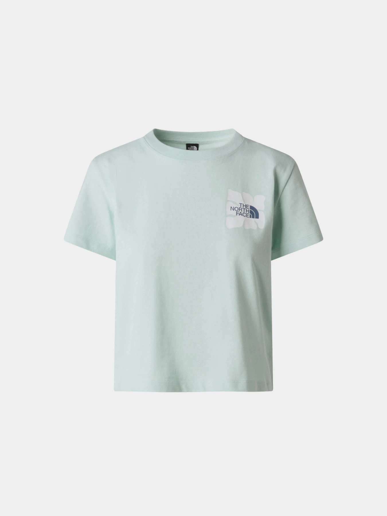 Футболки и поло The North Face W SUN REGULAR SHORT SLEEVE CUT модель NF0A8GQSG701 Футболки и поло The North Face W SUN REGULAR SHORT SLEEVE CUT модель NF0A8GQSG701 Фото