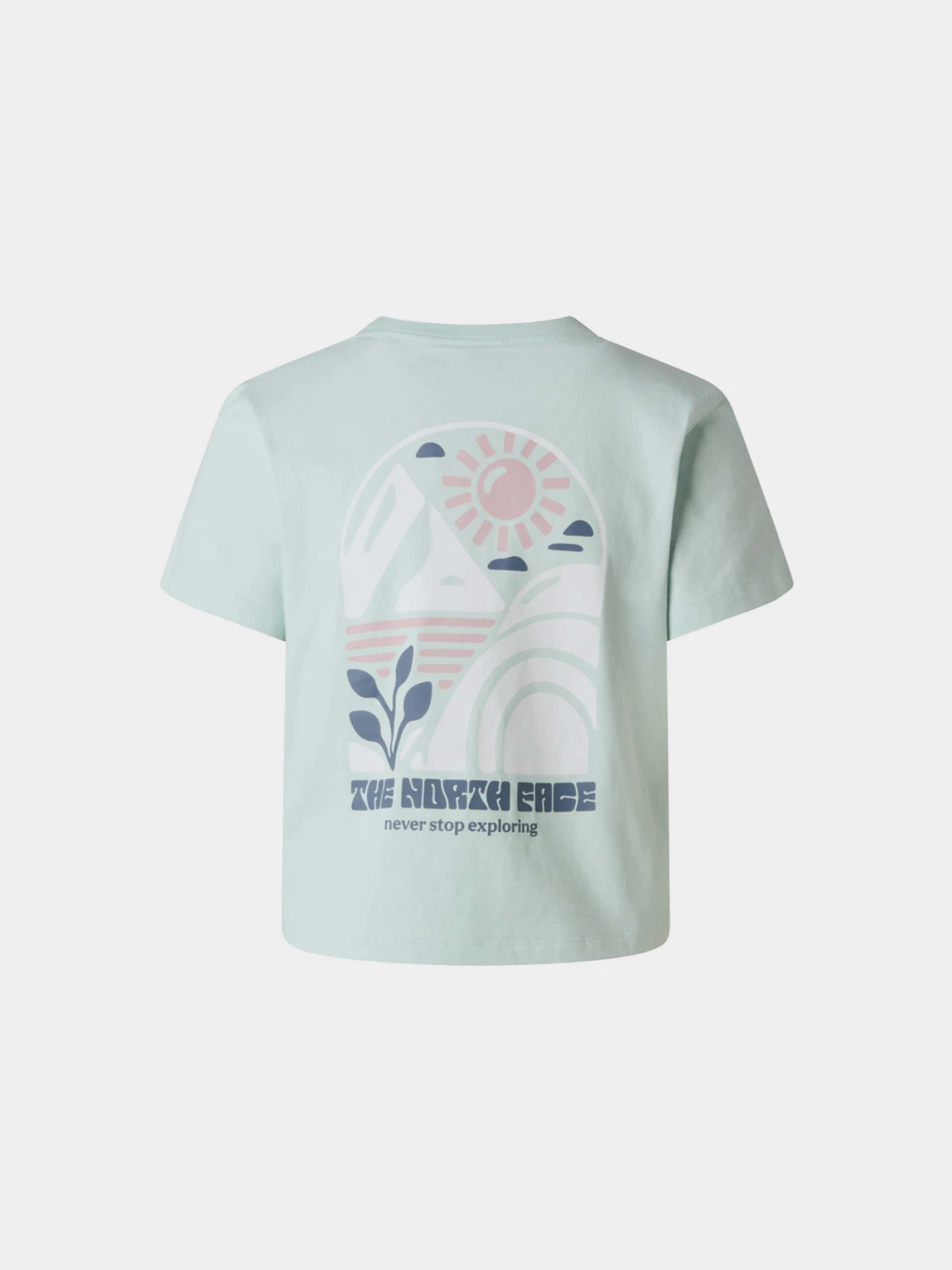 Футболки и поло The North Face W SUN REGULAR SHORT SLEEVE CUT модель NF0A8GQSG701 Футболки и поло The North Face W SUN REGULAR SHORT SLEEVE CUT модель NF0A8GQSG701 Фото