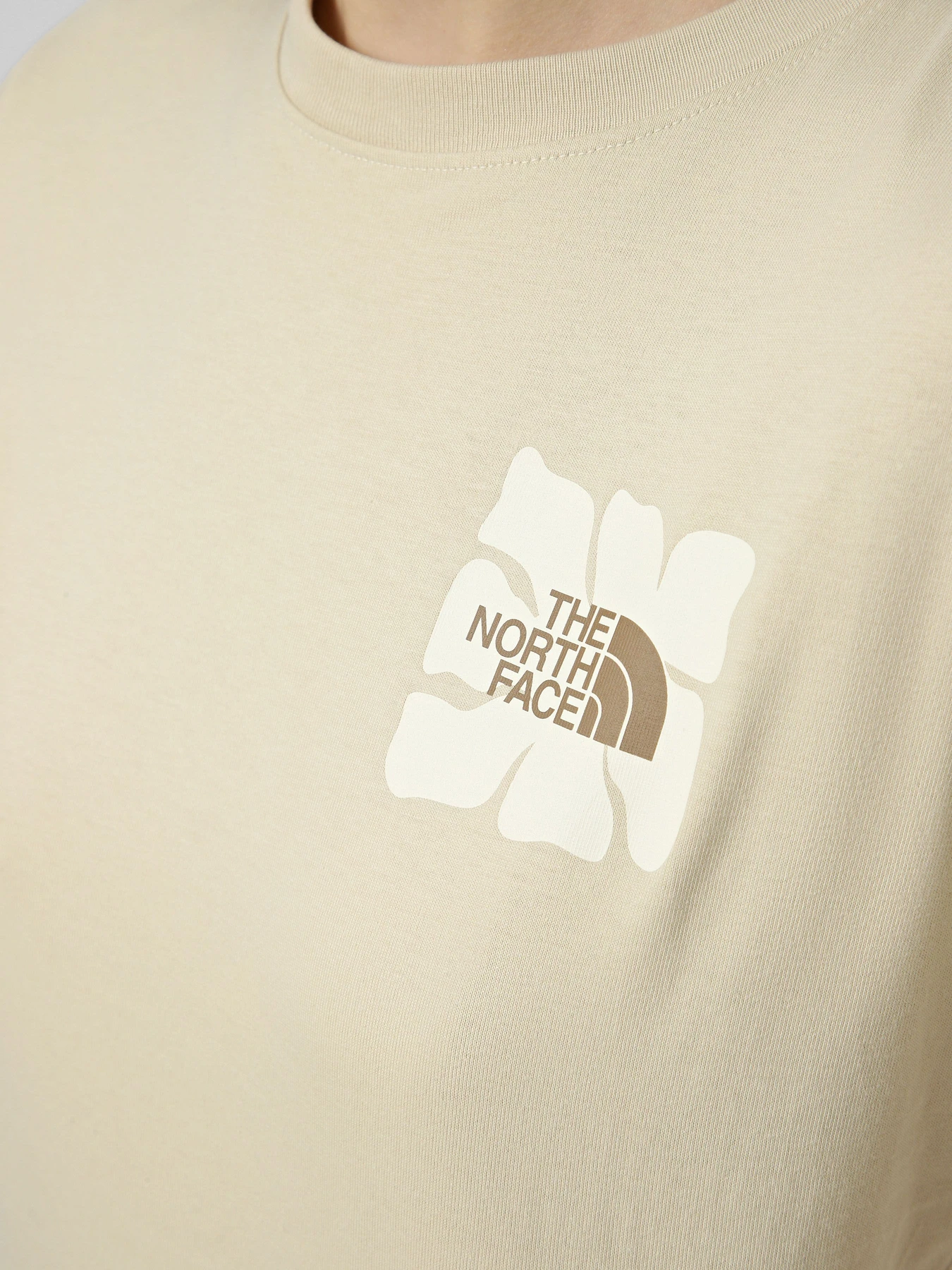 Футболки і поло The North Face W SUN REGULAR SHORT SLEEVE CUT модель NF0A8GQSDOM1 Футболки і поло The North Face W SUN REGULAR SHORT SLEEVE CUT модель NF0A8GQSDOM1 Фото