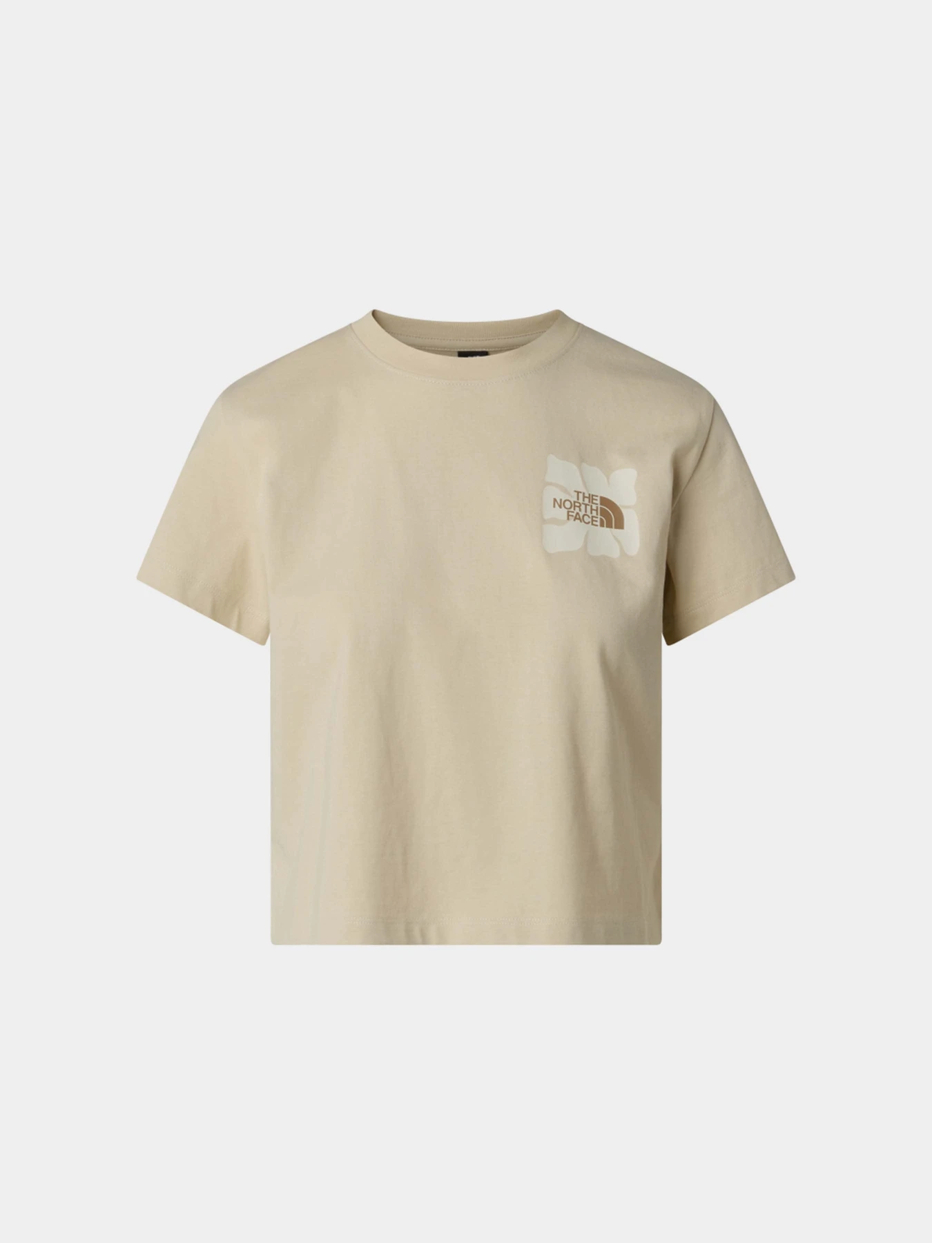 Футболки і поло The North Face W SUN REGULAR SHORT SLEEVE CUT модель NF0A8GQSDOM1 Футболки і поло The North Face W SUN REGULAR SHORT SLEEVE CUT модель NF0A8GQSDOM1 Фото