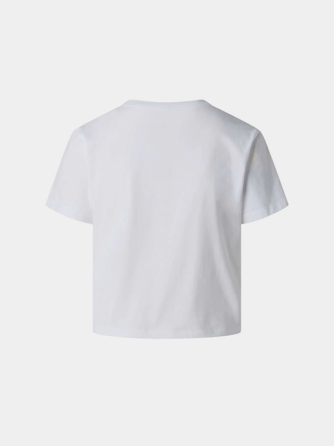 Футболки і поло The North Face W ESSENTIAL REGULAR SHORT SLEE модель NF0A8GR1FN41 Футболки і поло The North Face W ESSENTIAL REGULAR SHORT SLEE модель NF0A8GR1FN41 Фото