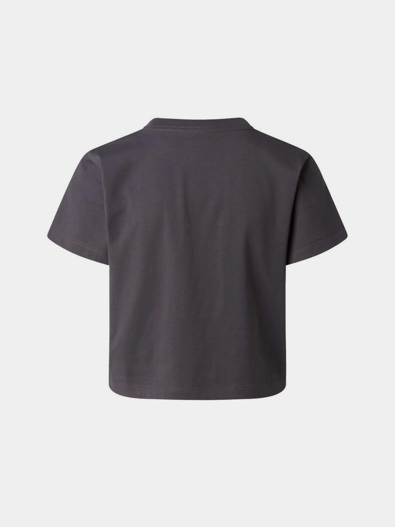 Футболки і поло The North Face W ESSENTIAL REGULAR SHORT SLEE модель NF0A8GR1RHI1 Фото