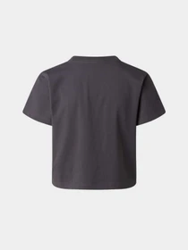 Футболки і поло The North Face W ESSENTIAL REGULAR SHORT SLEE модель NF0A8GR1RHI1 Фото