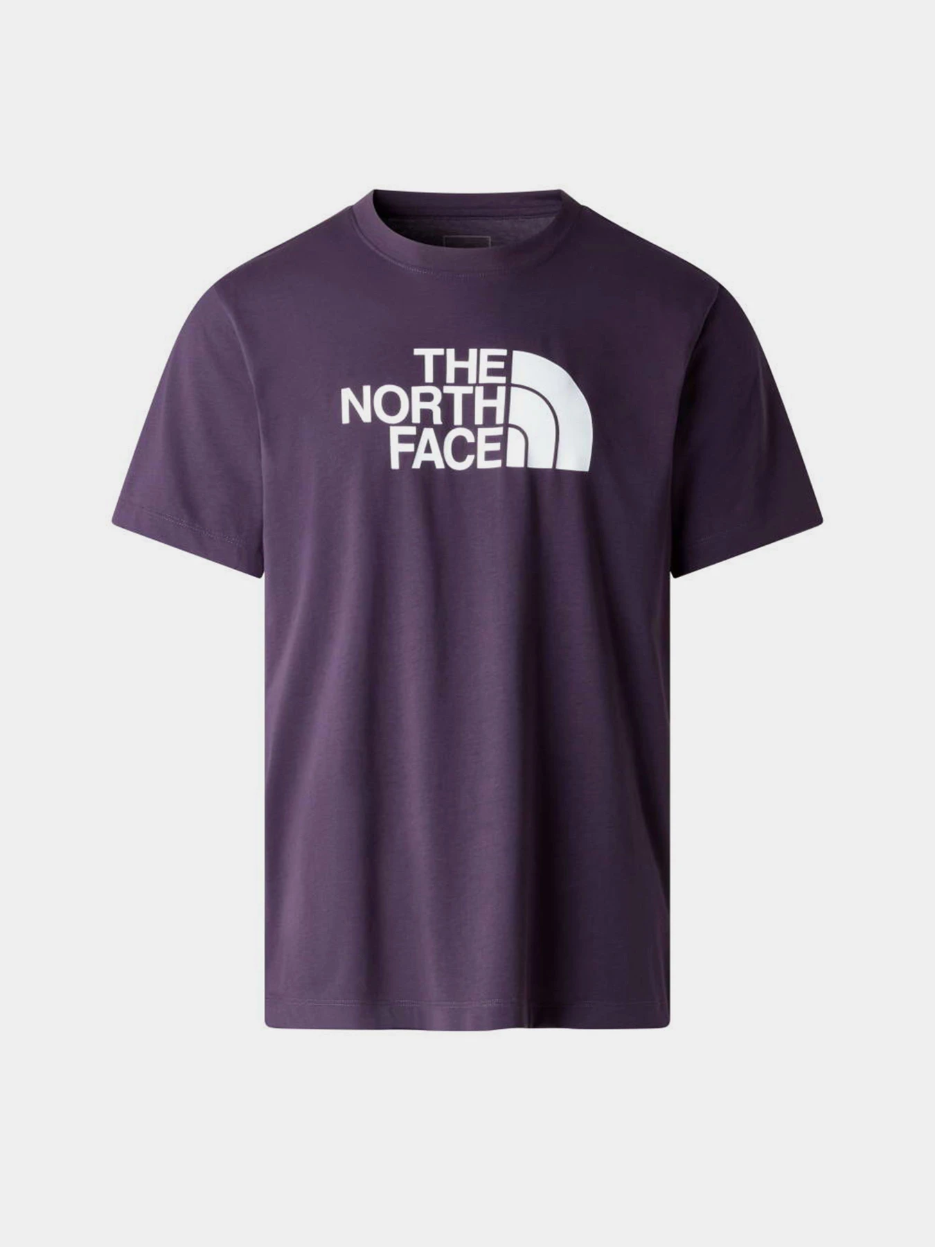Футболки і поло The North Face M EVOLUTION HALF DOME REGULAR модель NF0A8B6JG5O1 Футболки і поло The North Face M EVOLUTION HALF DOME REGULAR модель NF0A8B6JG5O1 Фото