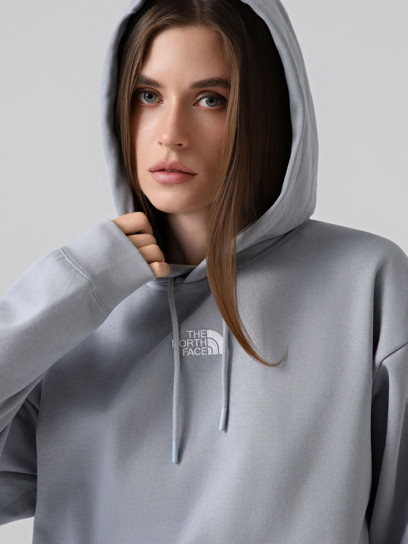 Худи и свитшоты The North Face W ESSENTIAL OVERSIZE HOODIE модель NF0A89ENFM21 Фото