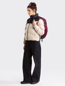 Куртки и дубленки The North Face W 1996 RETRO NUPTSE JACKET модель NF0A3XEOPC71 Фото