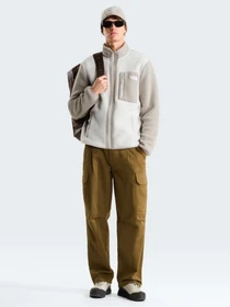 Худи и свитшоты The North Face M YUMIORI FULL ZIP модель NF0A883RP481 Фото