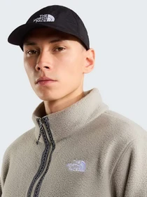 Худи и свитшоты The North Face M TNF FLEESKI 1/4 ZIP PO модель NF0A88XR2MB1 Фото