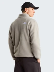 Худи и свитшоты The North Face M TNF FLEESKI 1/4 ZIP PO модель NF0A88XR2MB1 Фото
