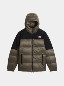 Куртки и дубленки The North Face M DIABLO DOWN 2.0 HOODIE модель NF0A8992V0C1 Фото