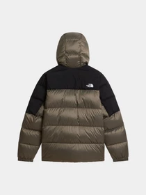 Куртки и дубленки The North Face M DIABLO DOWN 2.0 HOODIE модель NF0A8992V0C1 Фото