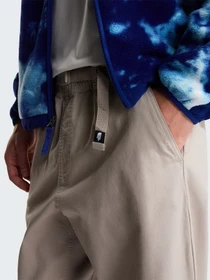 Штани The North Face M BETA UTILITY BELTED PANT модель NF0A8B622MB1 Фото