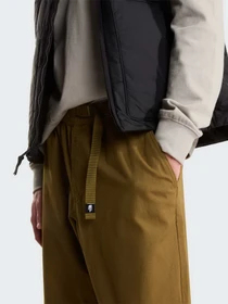 Брюки The North Face M BETA UTILITY BELTED PANT модель NF0A8B622EK1 Фото