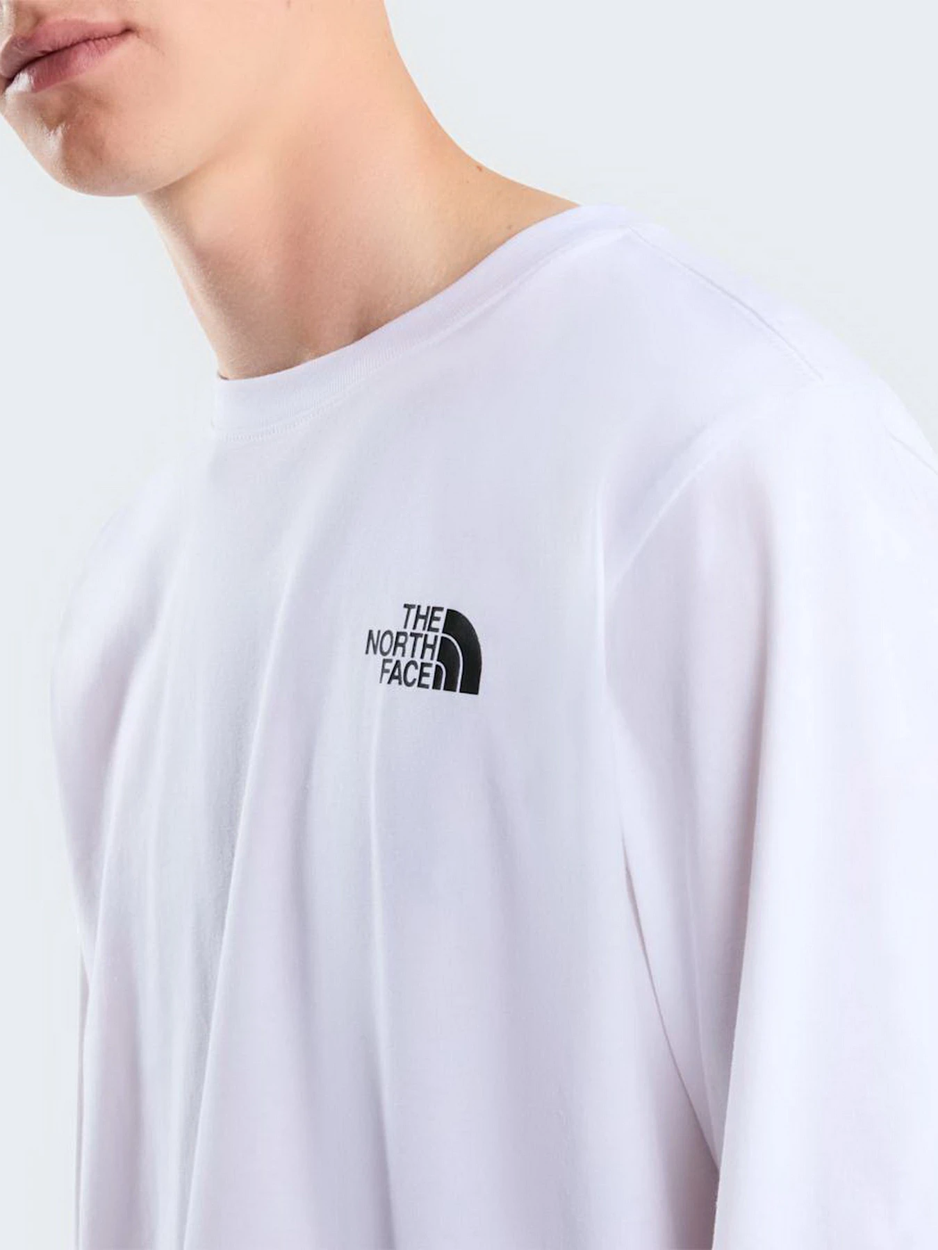 Худи и свитшоты The North Face M EVOLUTION BOX NSE REGULAR LO модель NF0A8B68FN41 Худи и свитшоты The North Face M EVOLUTION BOX NSE REGULAR LO модель NF0A8B68FN41 Фото